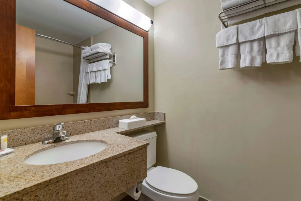 Comfort Inn Albany-South, Glenmont