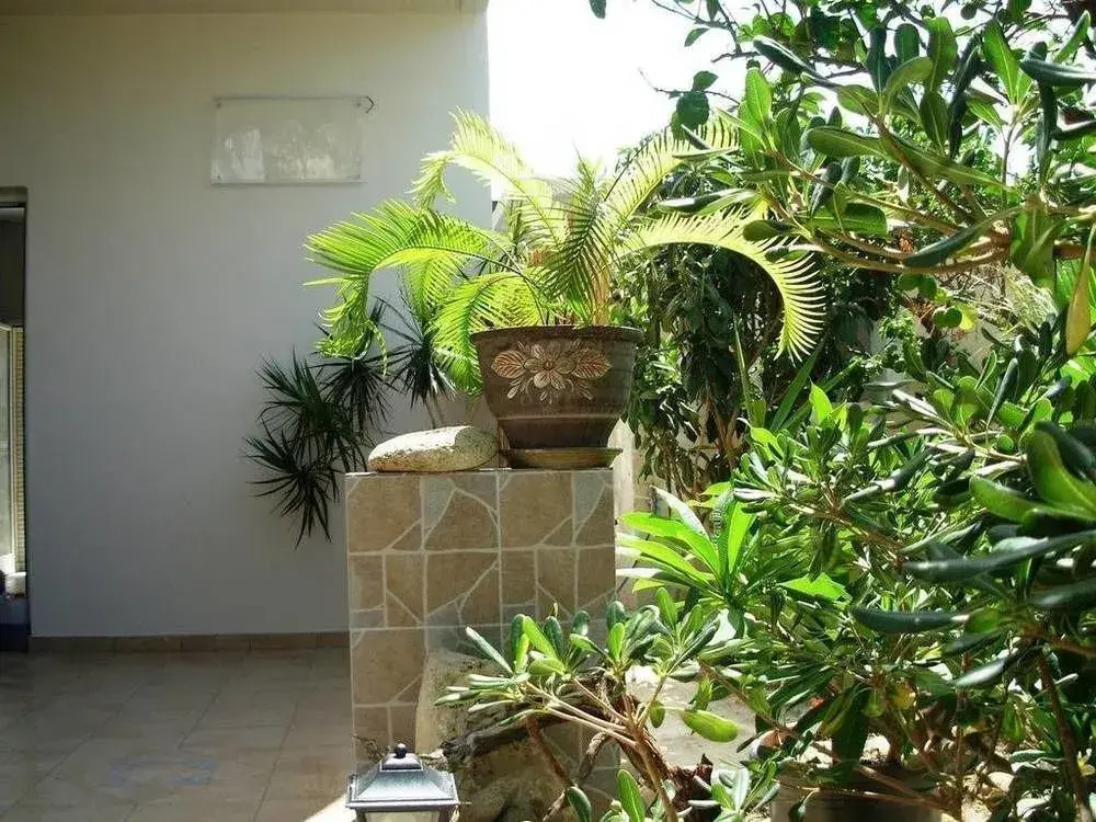 Callista sea view or garden