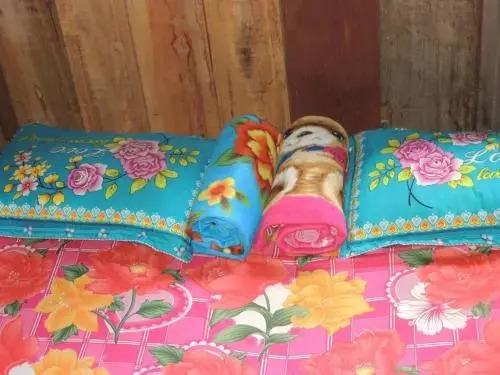 Seum Hout Homestay