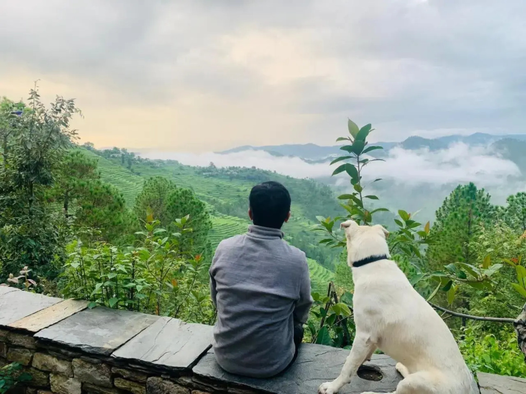 Itmenaan Estate, Binsar Himalayas