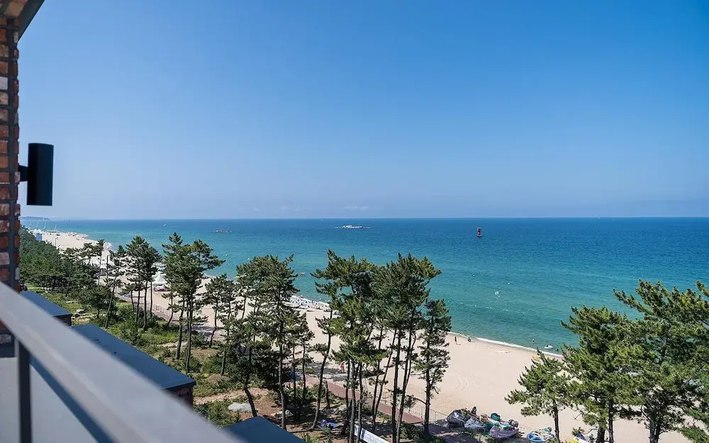 Brown Dot Gangneung Gyeongpo