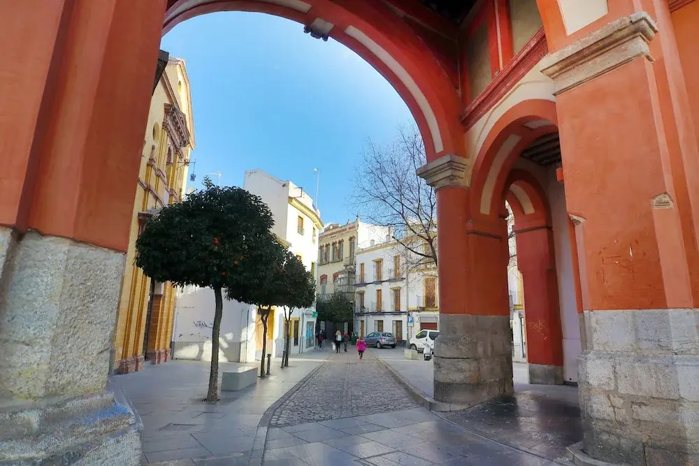 Asvacor Apartamento Plaza del Socorro