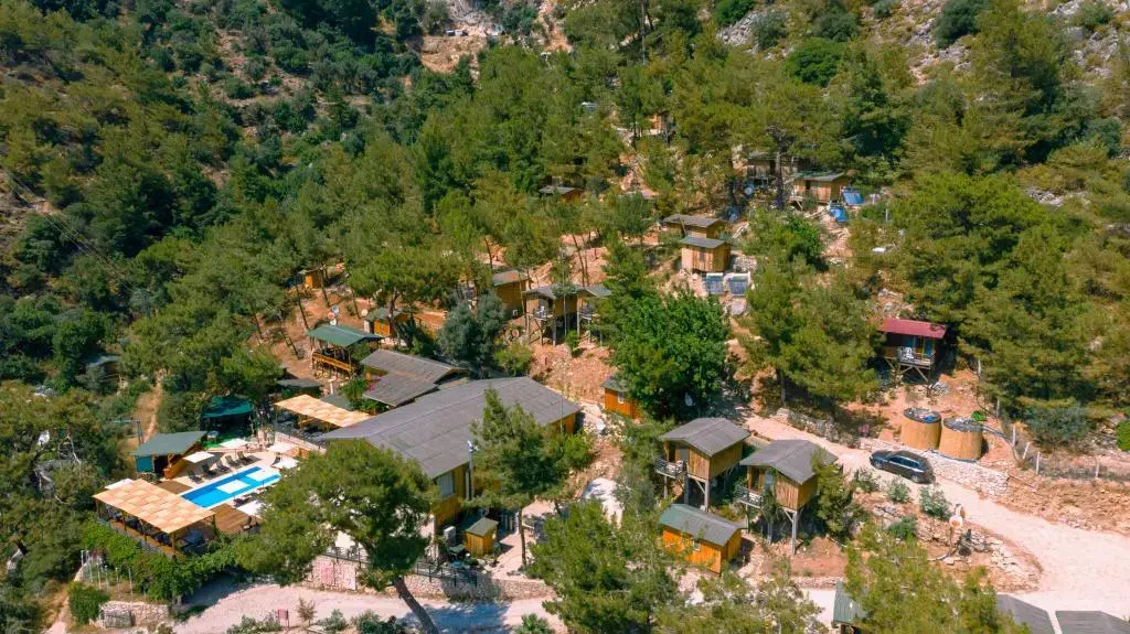 Tree House Otel