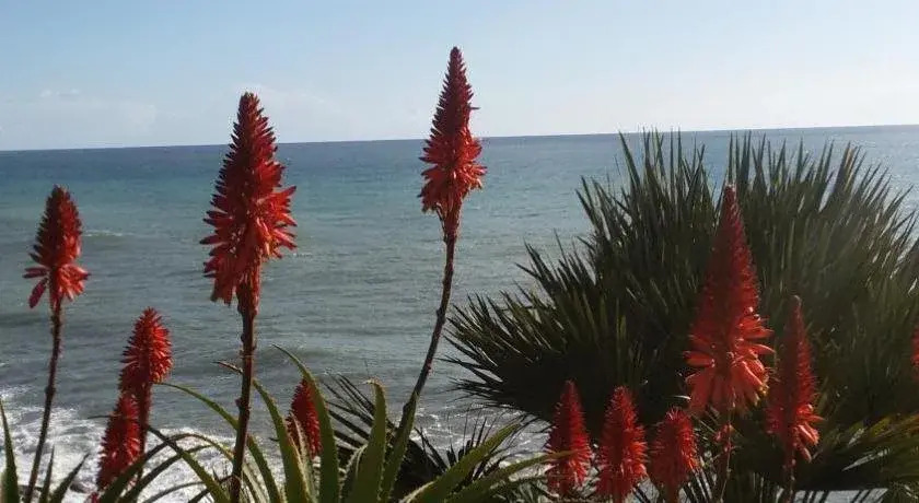 Albergo Costa