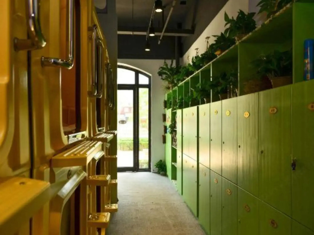 Backpacker Youth Hostel
