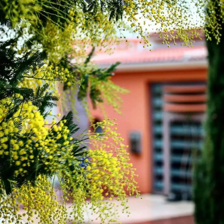 Thalassa Hotel