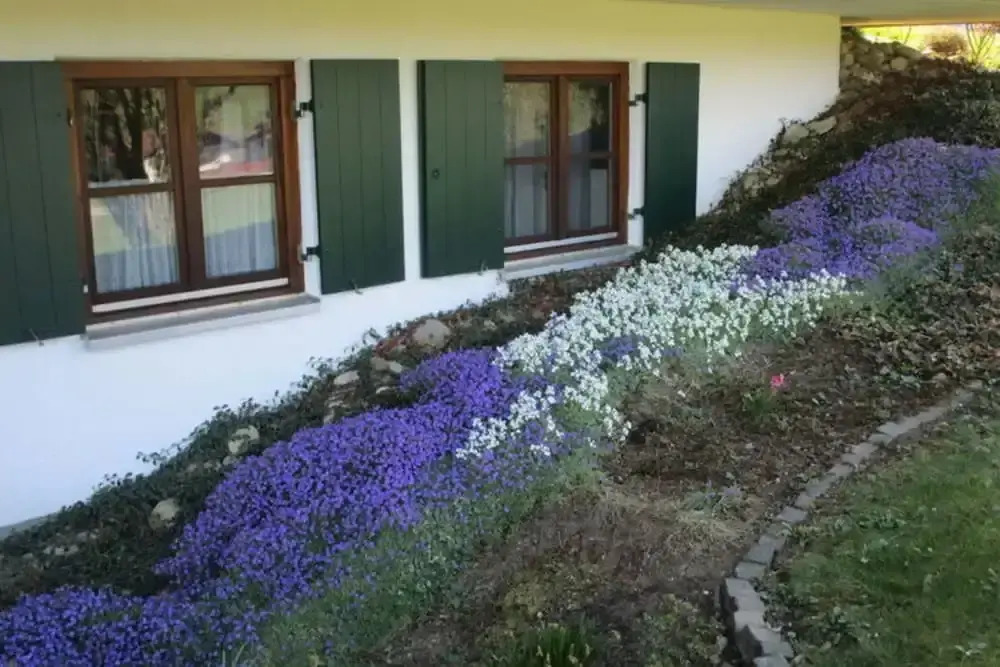 Nice Apartment in Bavaria