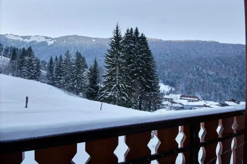 Appartement Pied Des Pistes -Saint Jean D'Aulps Station-6 Personnes- Grand Cerf 10