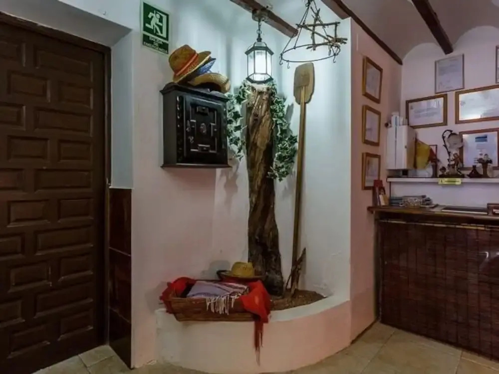 The Olive Tree