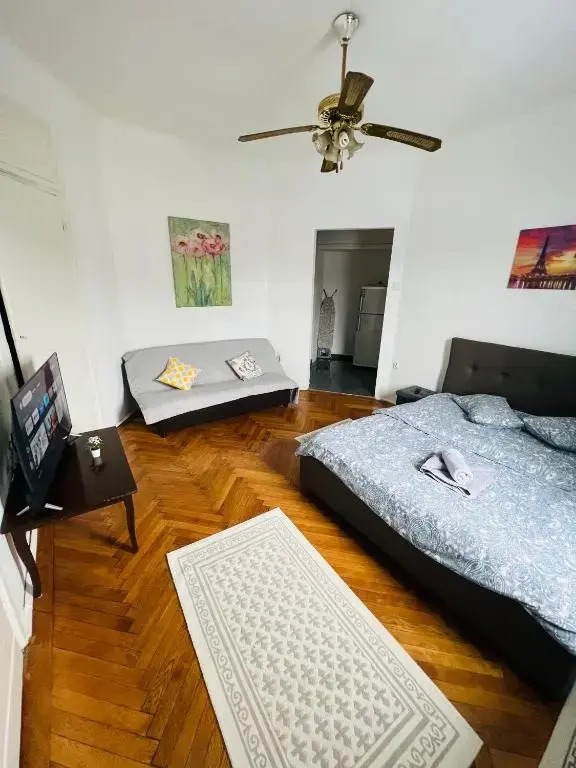Unirii Downtown Apartment