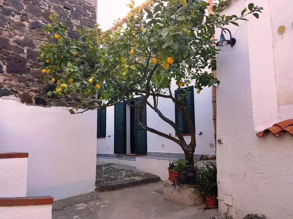 Dommos - Arcada Apartments