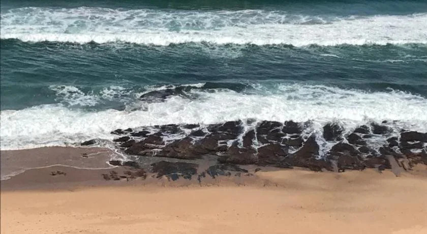 Beach Forest Lodge