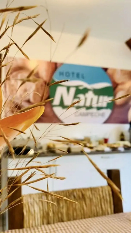 Hotel Natur Campeche