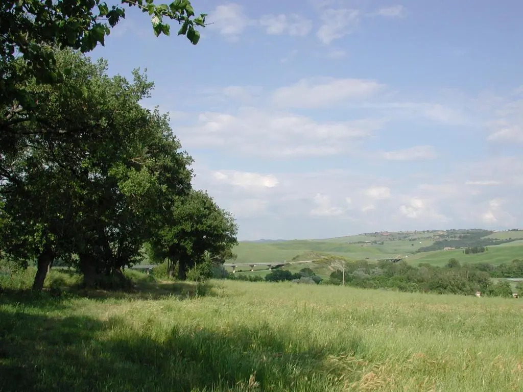 Passaggio in Val d Orcia