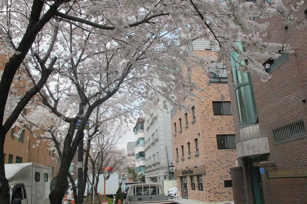 Roi Guesthouse