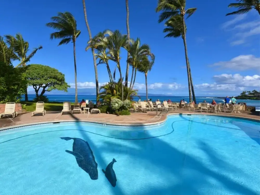 300 Steps to Beach Napili Shores Pool & BBQ