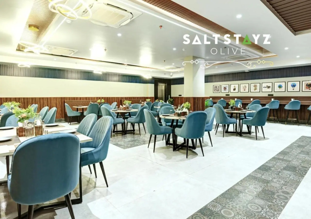 Saltstayz Select - Pitampura
