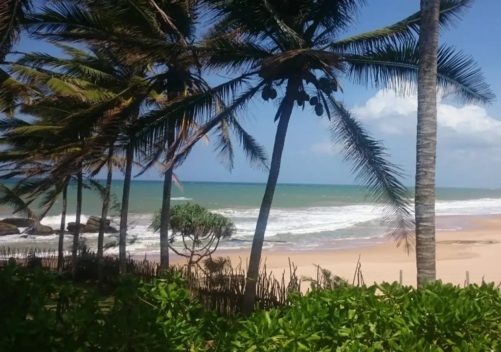 Turtle Bay Boutique Hotel