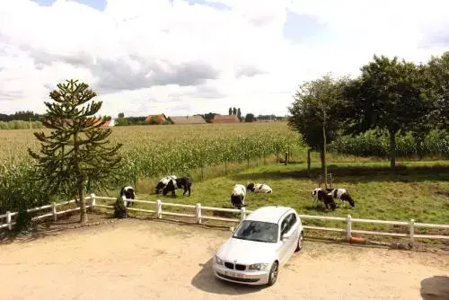 De Lekkermond