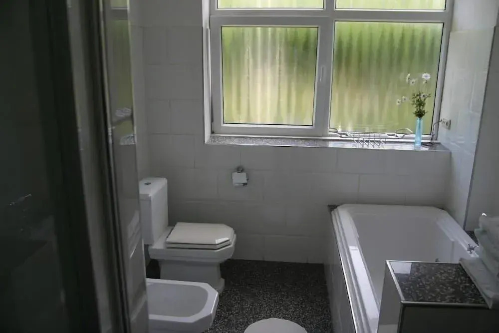 Bed & Breakfast Studio's The Hague