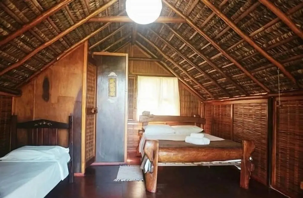 Art Jungle Eco Lodge