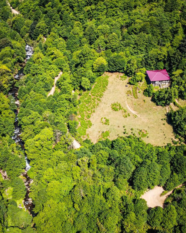 Mtirala National Park hotel ORBEZA