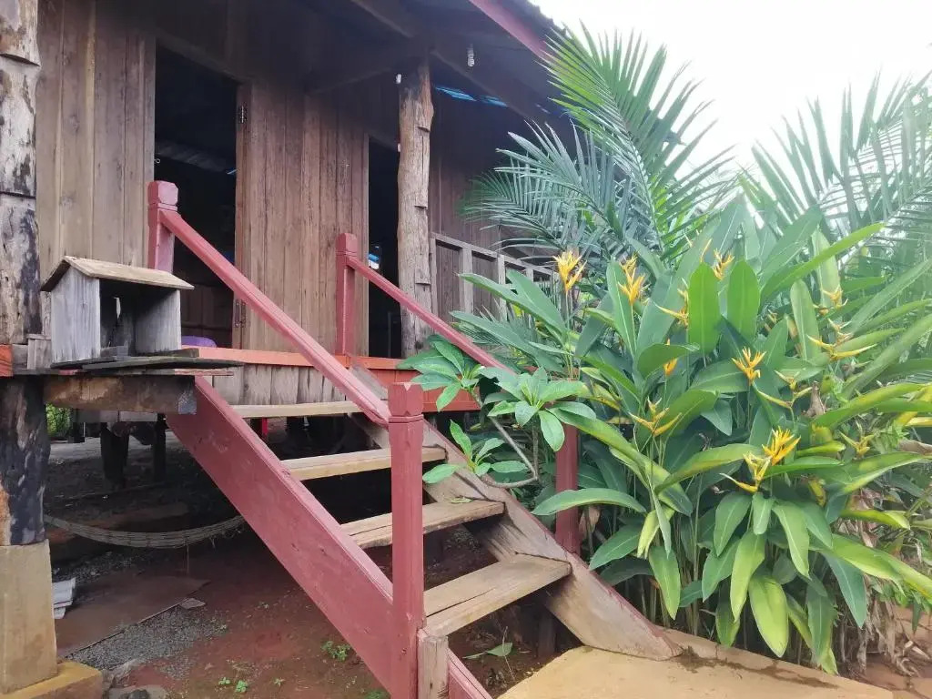 Tree Trails Homestay & Offers Jungle Trekk-Scooter For Rental