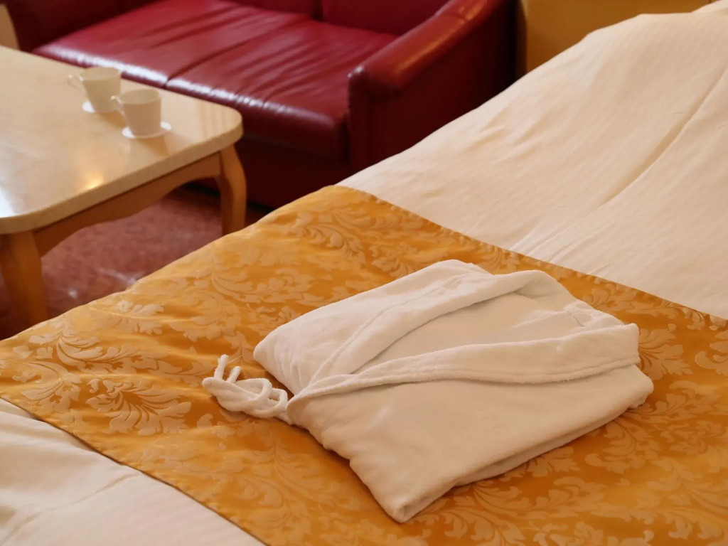 Hotel Fine Biwako I