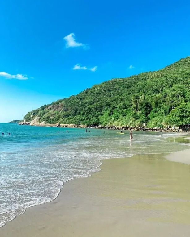Gaivotas Golden Luxo a 200m praia-NIN012