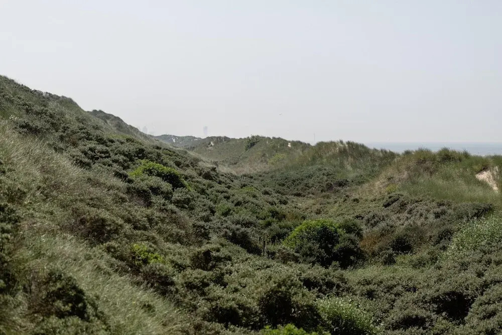 Apartment in De Haan near the Beach
