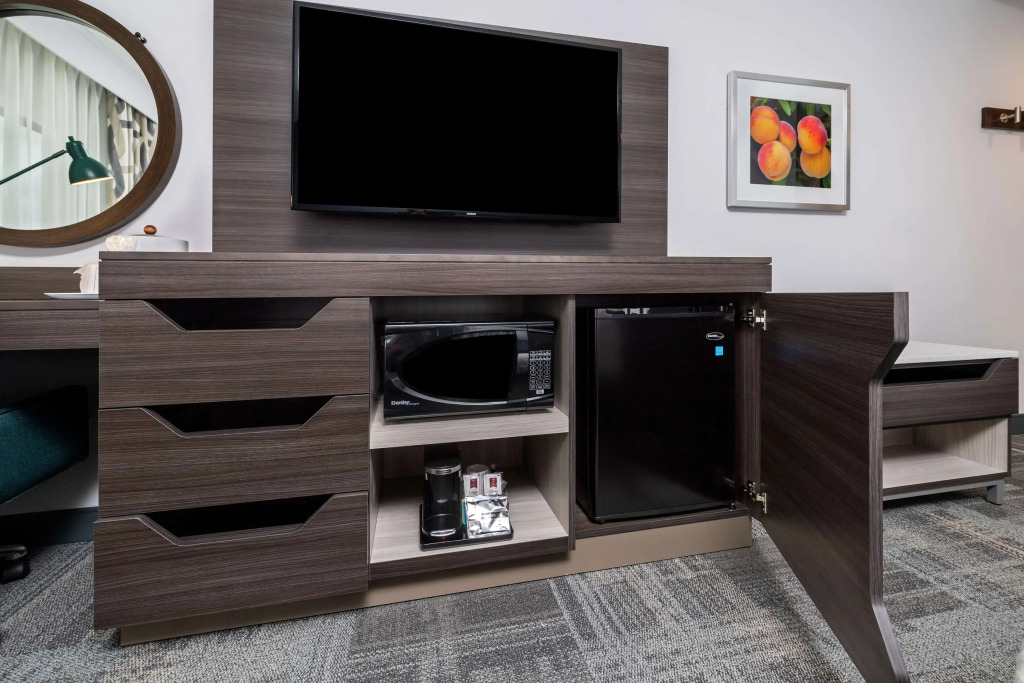 Hampton Inn & Suites Snellville Atlanta Ne