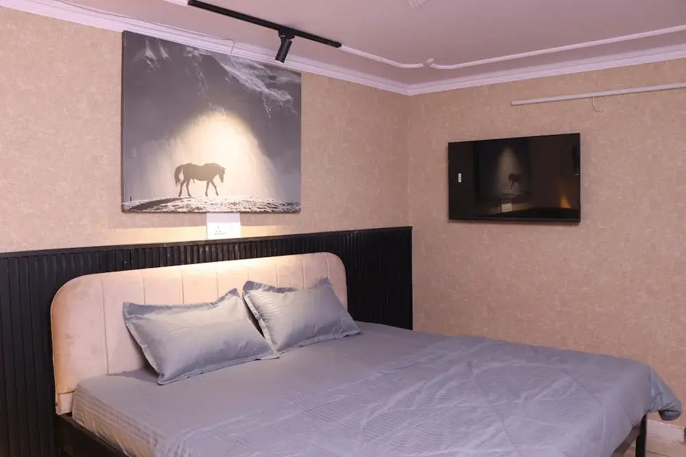 LetStay Vasantkunj Delhi