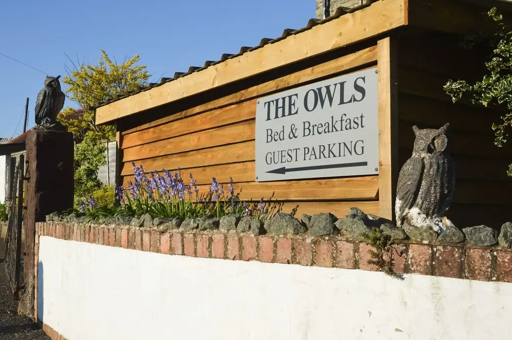 The Owls