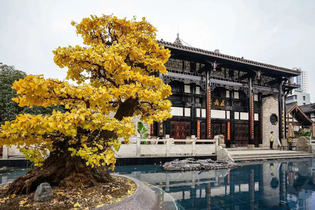 Chengdu Courtyard Hotel