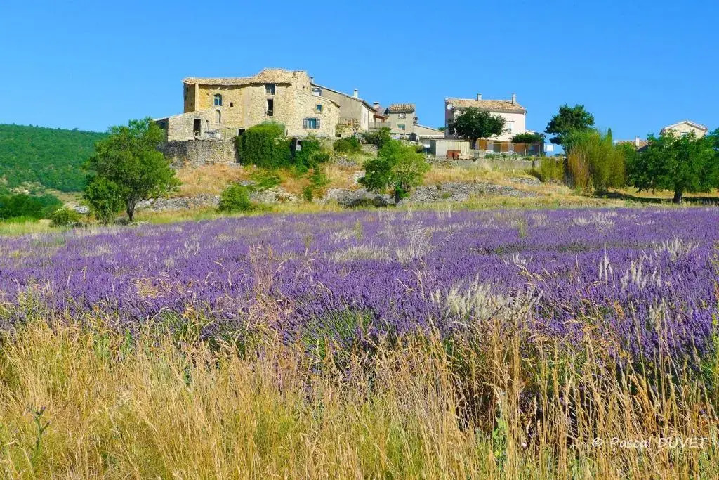La Maison de Marie Jeanne