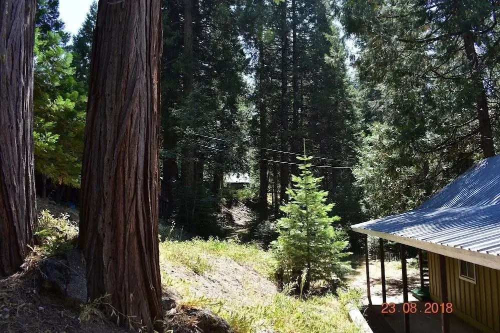 White Chief Mountain Lodge