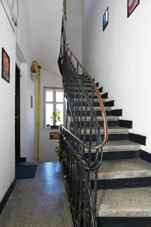 Carol Studio