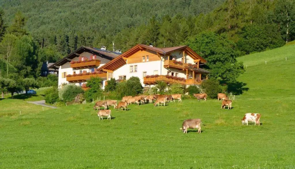 SUMMERER - Living Nature - Apartments with private SPA