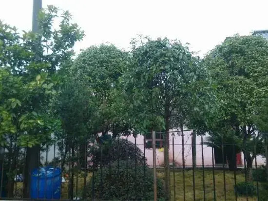 Changsha Jiajia Apartment