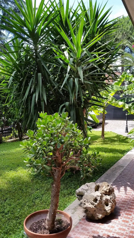 Il Giardino di Giulia 2