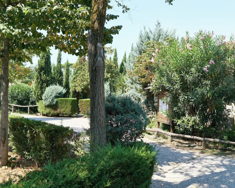 Comfortable Campsite-chalet G10 Tuscany Near sea