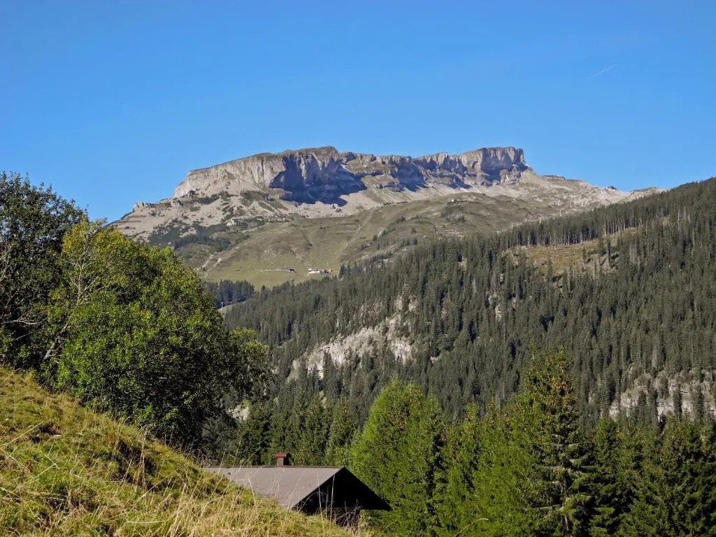 Hallers Geniesserhotel