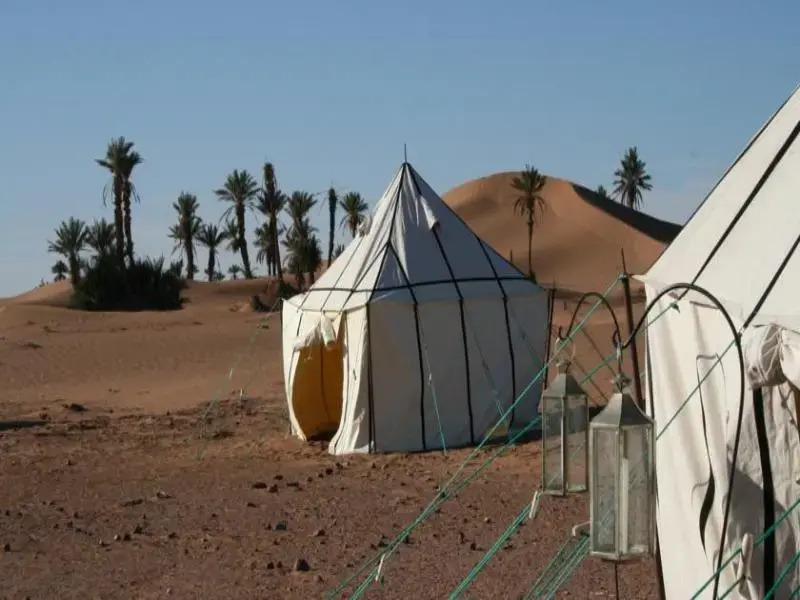 Sahara Safari Camp