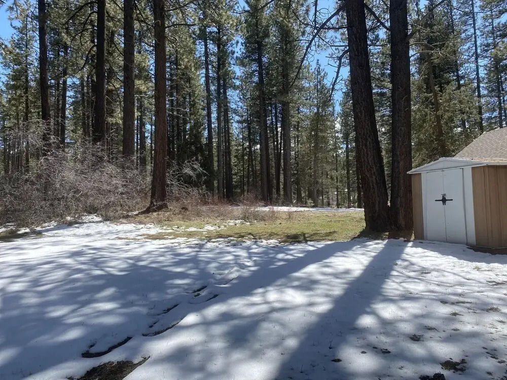 Ohana Lodge - Cozy Newly Remodeled one Bedroom Plus Loft, Cozy Fireplace. Walk to Shuttle! 1 Home
