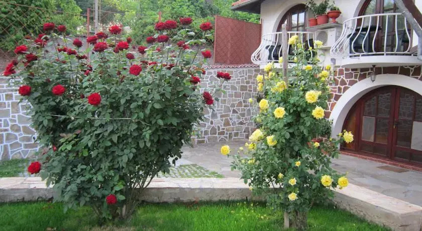 The Beautiful House