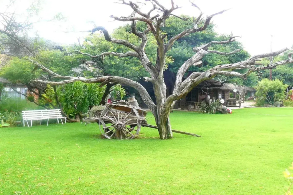 Kameelboom lodge