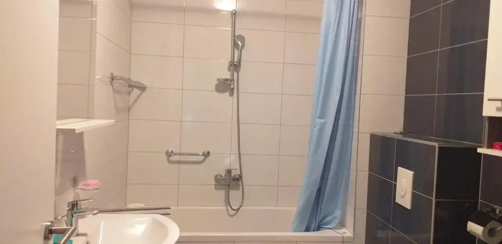 Apartment Pavo