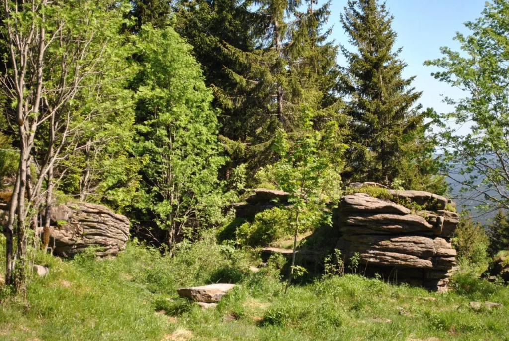 Apartments Gosch Braunlage