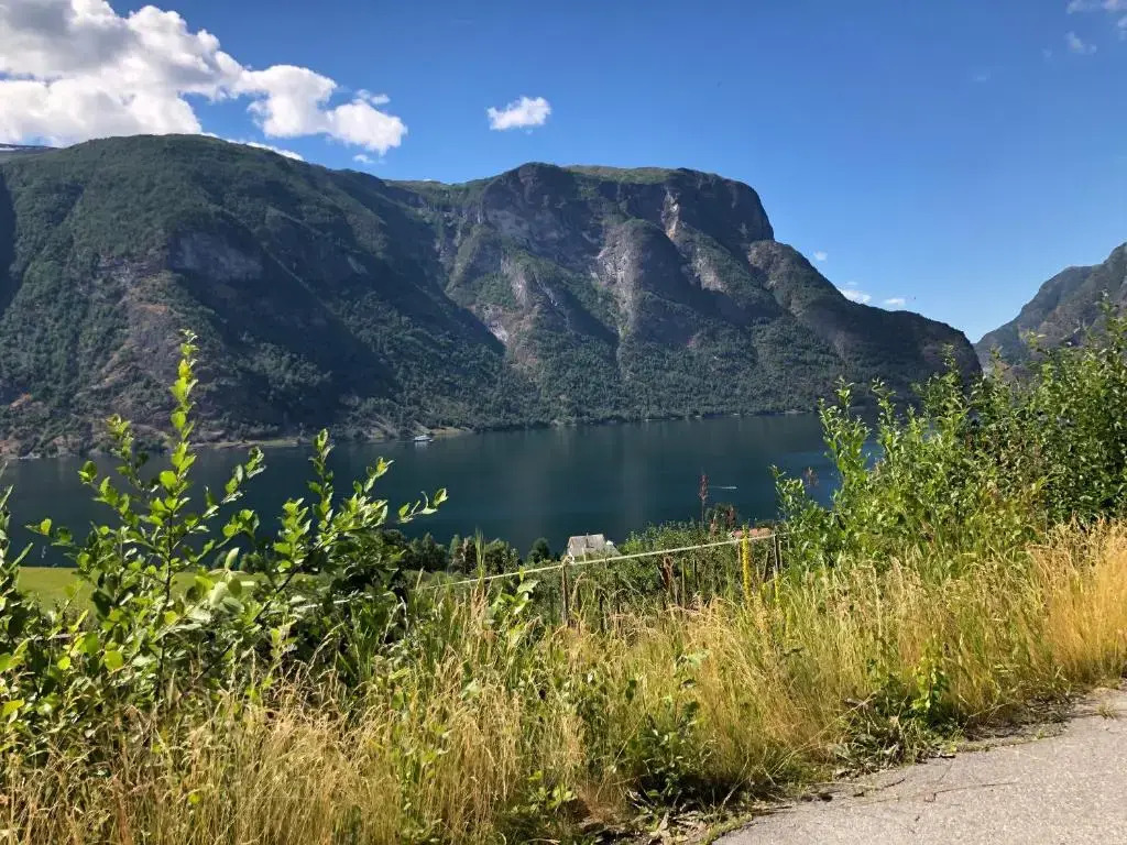 Winjum Cabin Aurland Stegastein