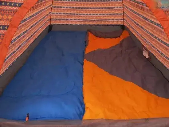 Flower House Girl Desert Camping Base